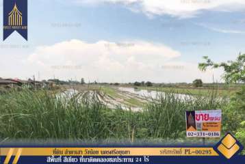 ที่ดิน ลำตาเสา วังน้อย นครศรีอยุธยา