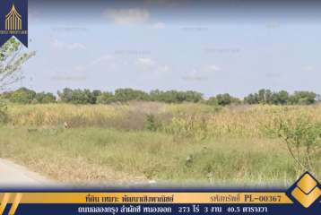 ที่ดิน ถนนฉลองกรุง ลำผักชี หนองจอก 