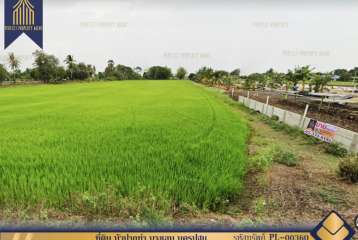 ที่ดิน บัวปากท่า บางเลน นครปฐม