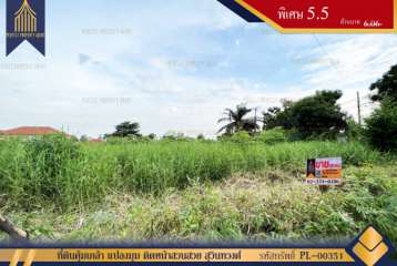 ที่ดินคุ้มเกล้า แปลงมุม ติดหน้าสวนสวย สุวินทวงศ์ เหมาะสำหรับสร้างบ้านพักอาศัย