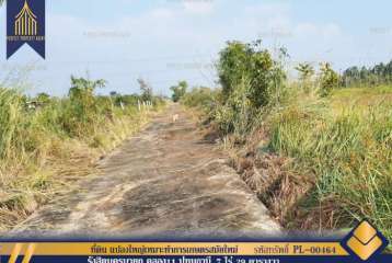 ขาย ที่ดิน รังสิตนครนายก คลอง11 ปทุมธานี แปลงใหญ่เหมาะทำการเกษตรสมัยใหม่ใกล้กรุงเทพเดินทางสะดวกสบาย