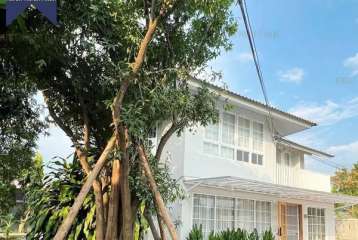 ขายบ้านเดี่ยวหลังใหญ่ ตกแต่งใหม่ สวยพร้อมอยู่ ท่ามะขาม กาญจนบุรี 